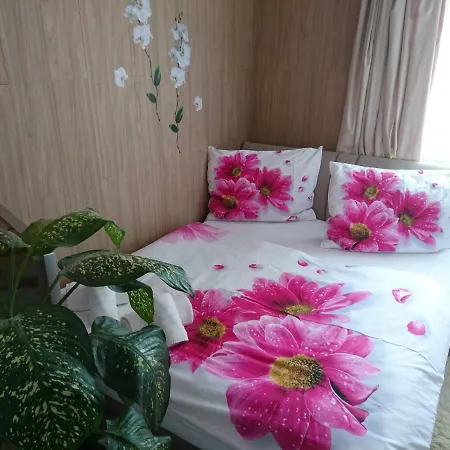 Apartment Hlinska Ceske Budejovice